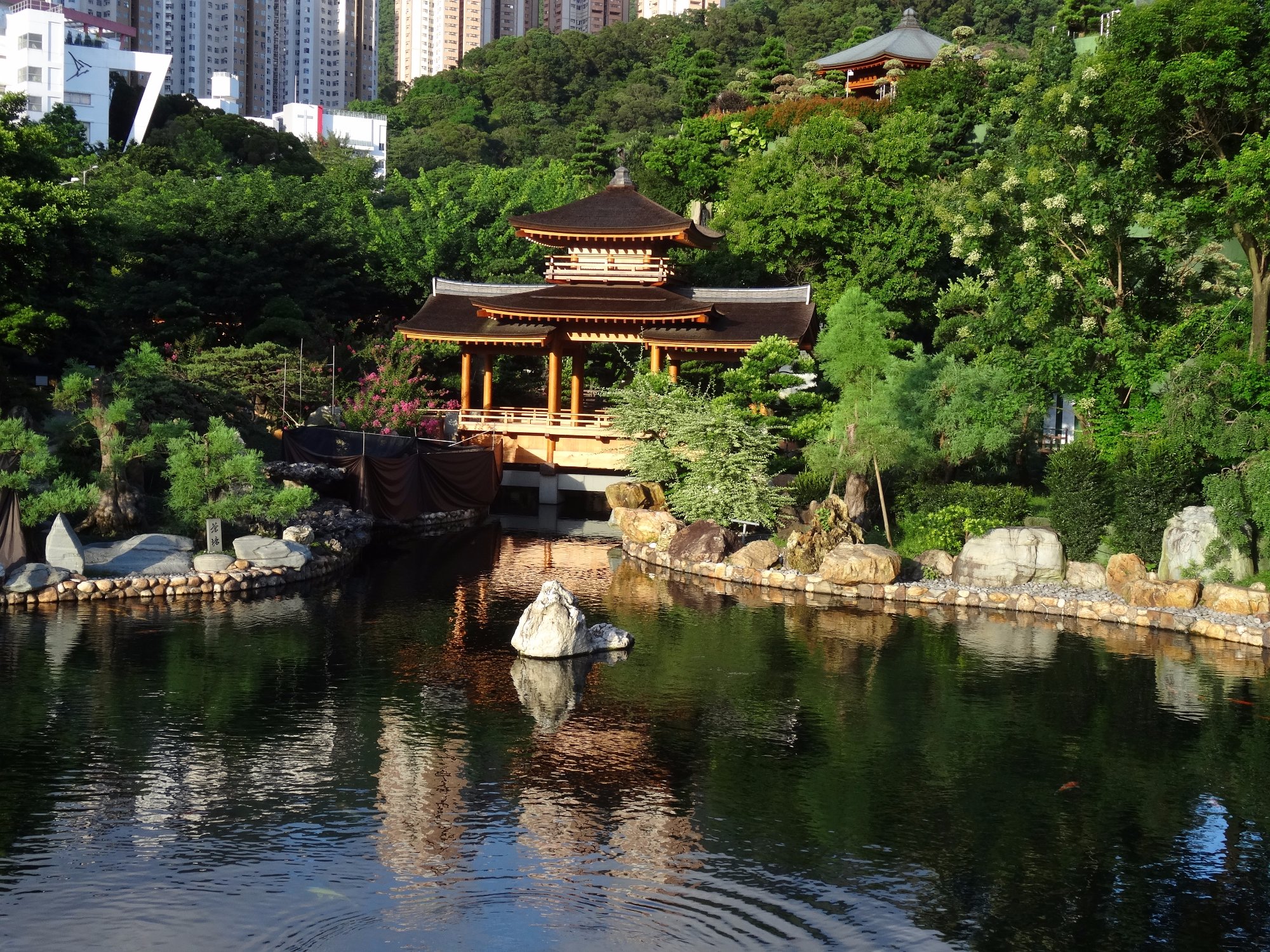 香港志莲净苑地图,香港志莲净苑好玩吗