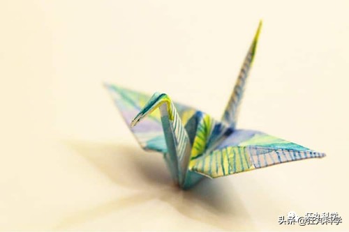 10种纸鹤折法,一天折50个千纸鹤