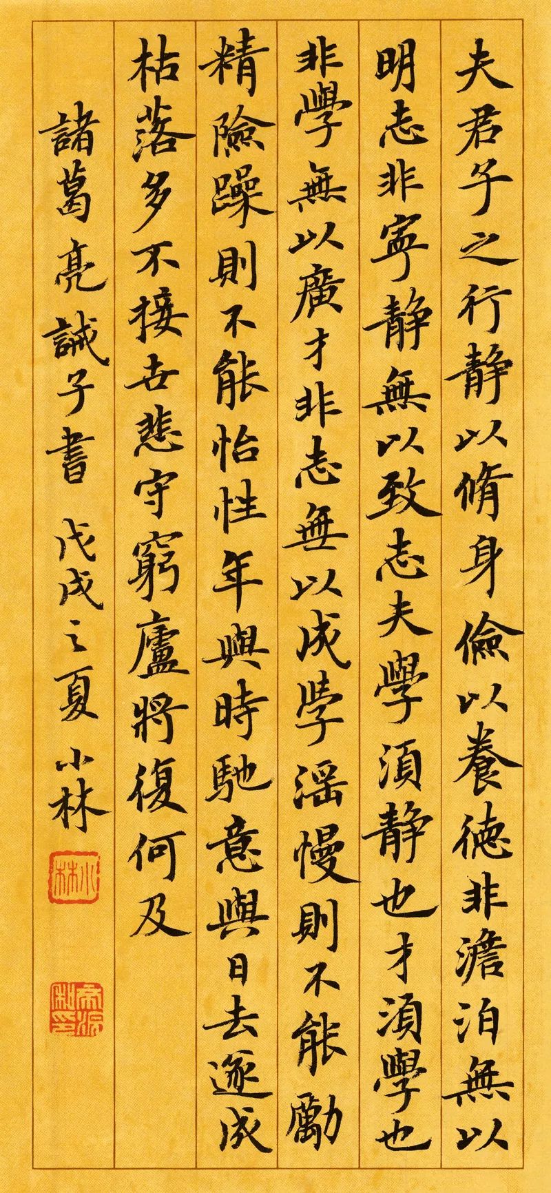 放学回家作文,走在放学回家的路上作文