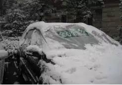 绿城物业服务特色亮点,绿城物业服务四大标准