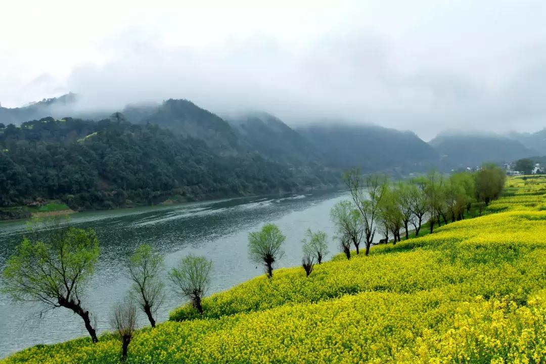 新安江山水画廊的美景,新安江山水画廊山水图