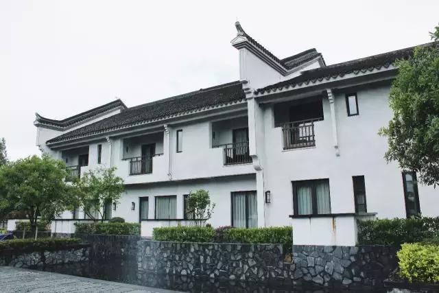 最美银杏秋景自驾攻略,杭州银杏树旅游攻略