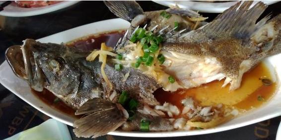 一场一个人说走就走的旅行,来一场旅行开启所有的美好