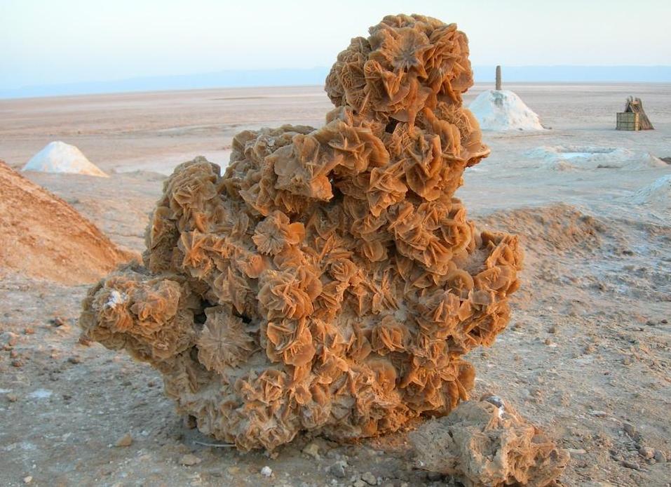 沙漠的石头为什么一定不要捡,为何在沙漠看到石头必须捡起来