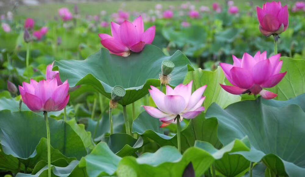 餐厅服务工作站流程