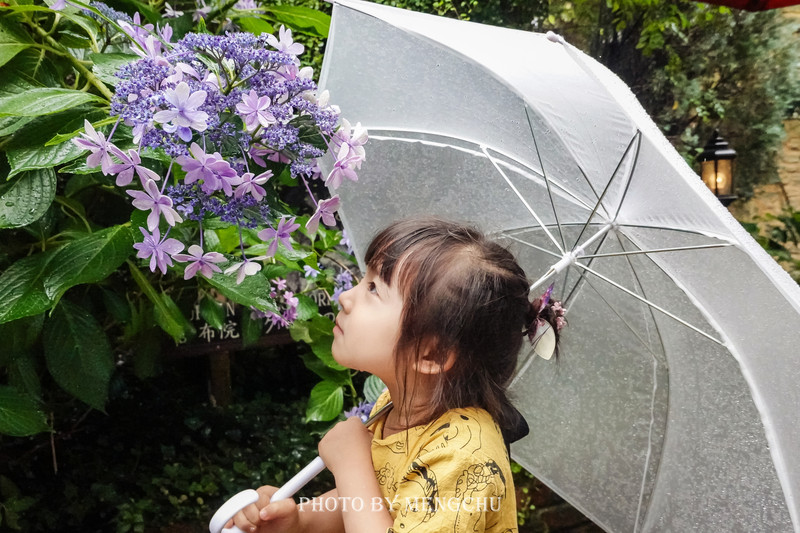 日本小众温泉攻略,日本旅游哪的温泉最好