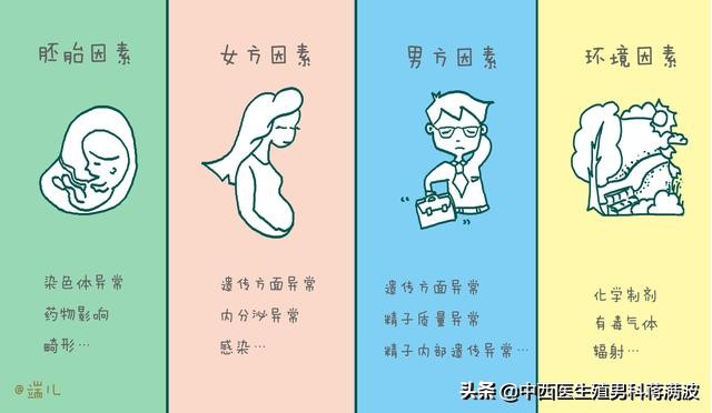 流产科普word模板,手绘解剖图怎么学