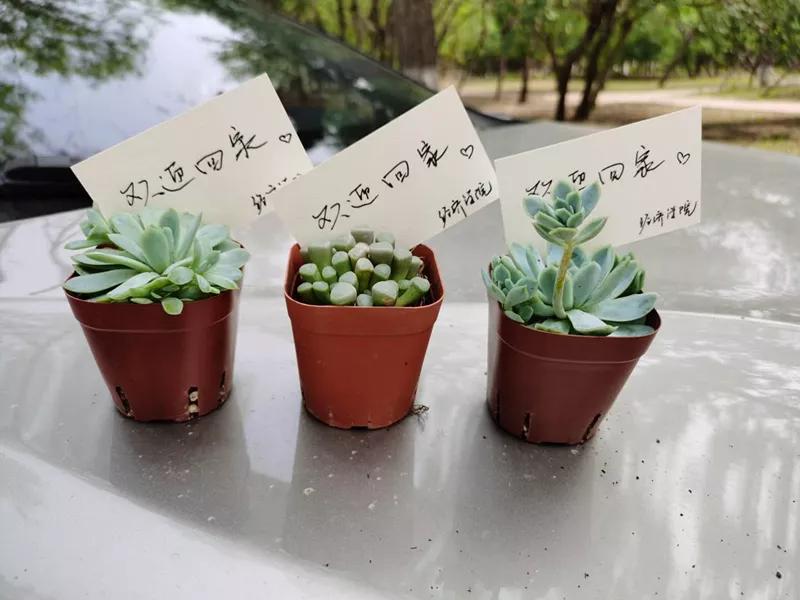 渤海大学:阔别已久,亲爱的渤大,我们回来啦