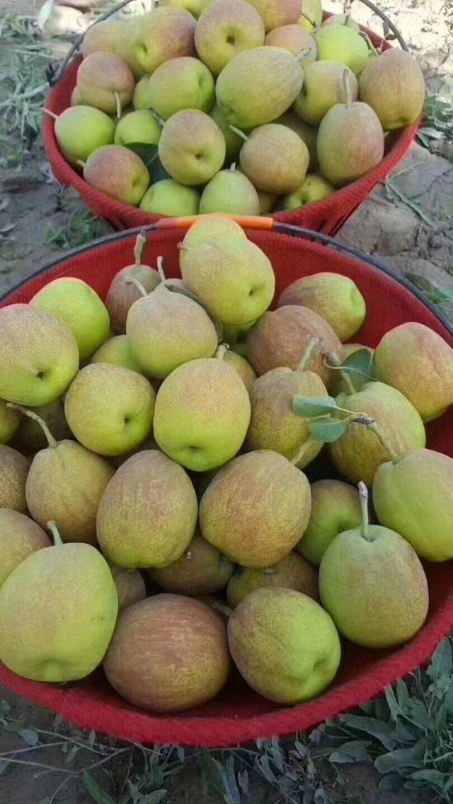 一边旅游一边做点什么生意好,一边旅游还一边挣钱