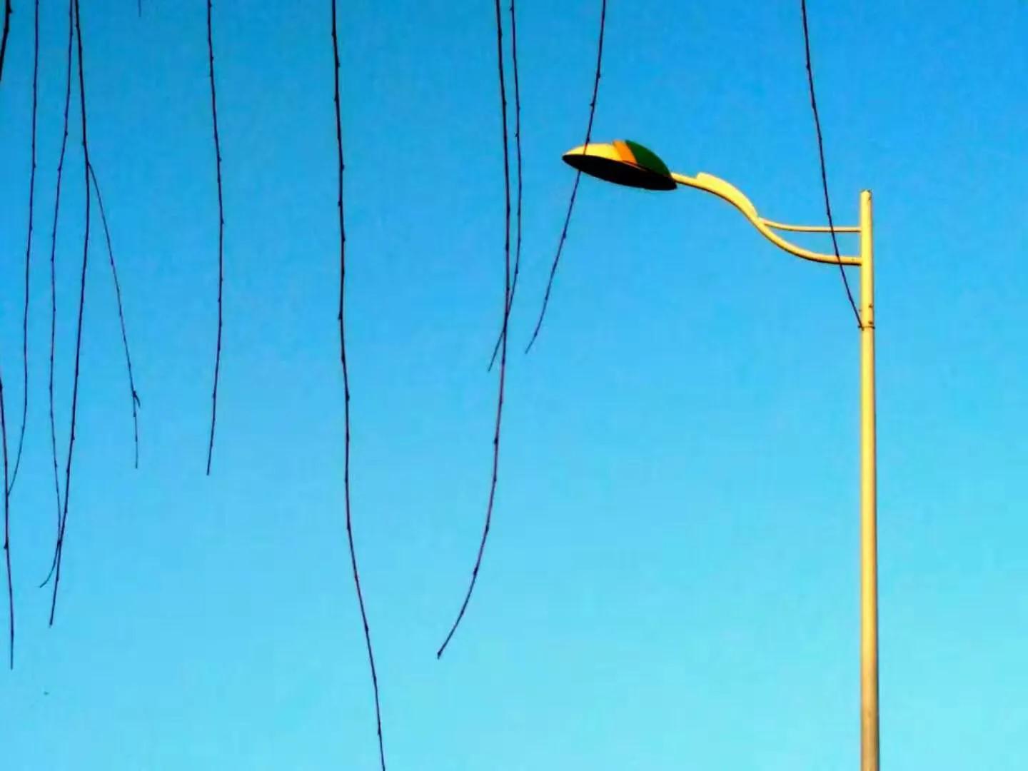 手拍世界（手机摄影平台）-群员作品集（总第671期）