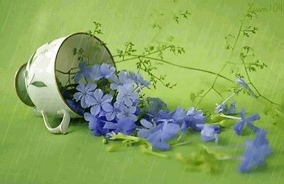 原创清明诗词,原创清明节气诗