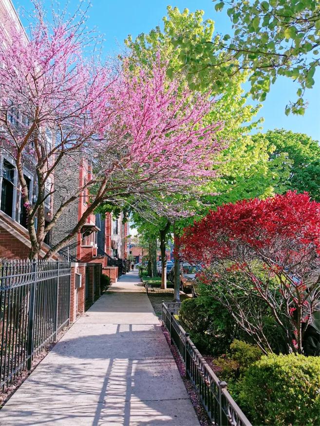 渣男永远都不会变吗,渣男永远不会变好吗