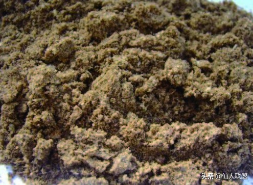 石食者THESTONEEATERS六