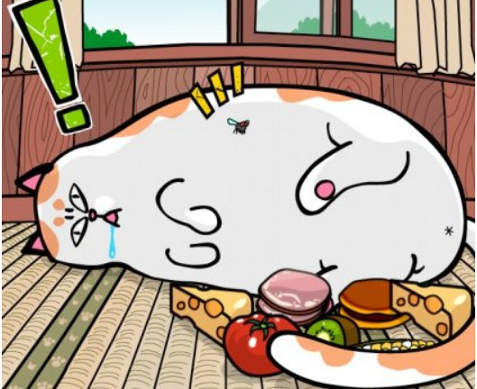 猫为什么不能多吃谷物,猫咪喜欢吃狗粮怎么办