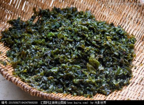 小时候常见又叫不上名的动植物,你们老家怎么说?满满的童年回忆