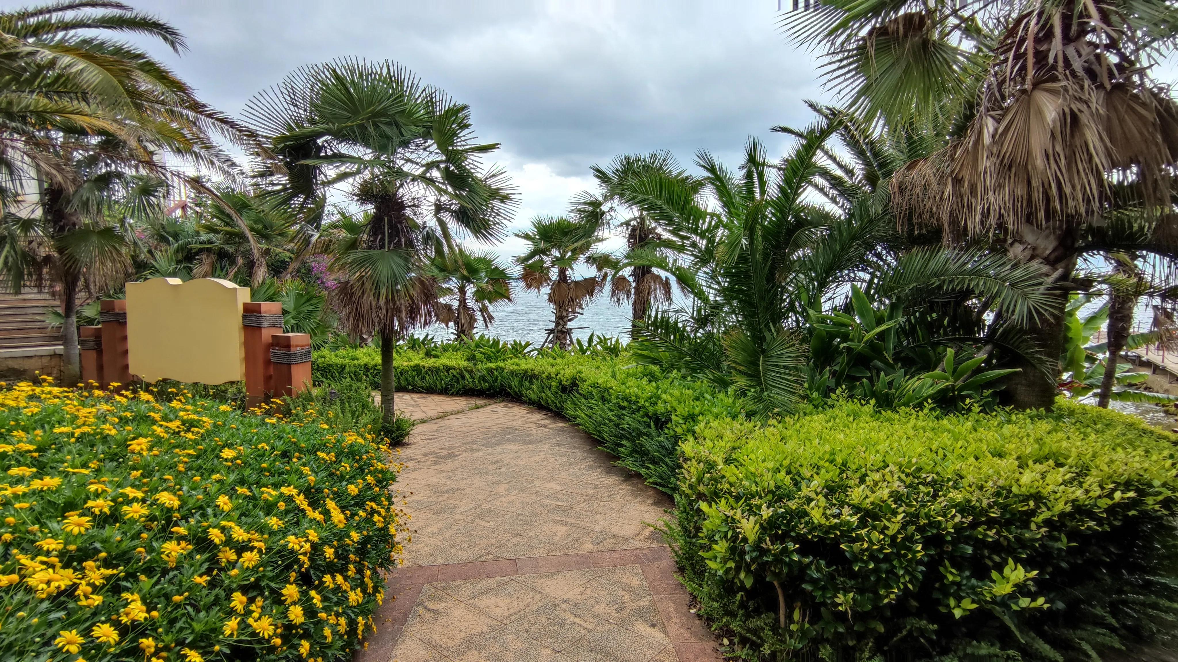 4月抚仙湖樱花谷,抚仙湖樱花谷水下古城