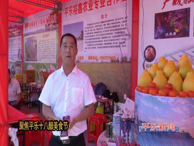 桂林平乐美食攻略,广西桂林平乐县特色美食