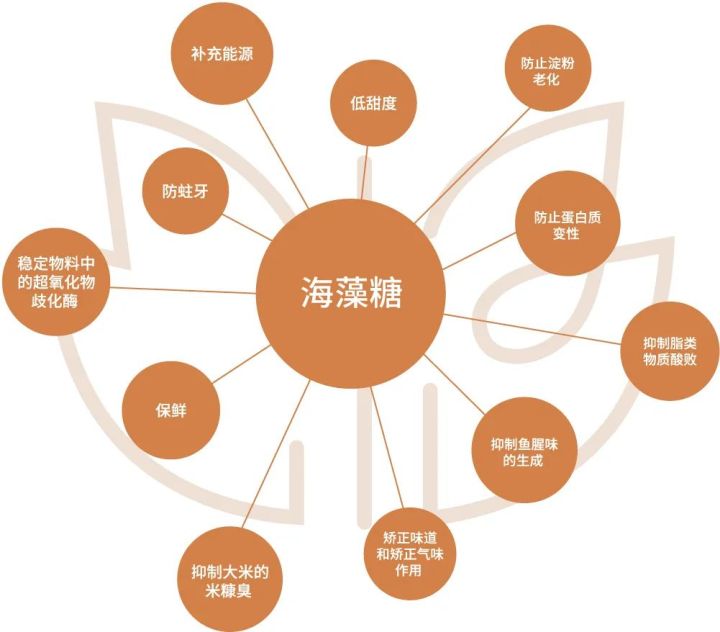 药学博士护肤,药学博士抗衰护肤品