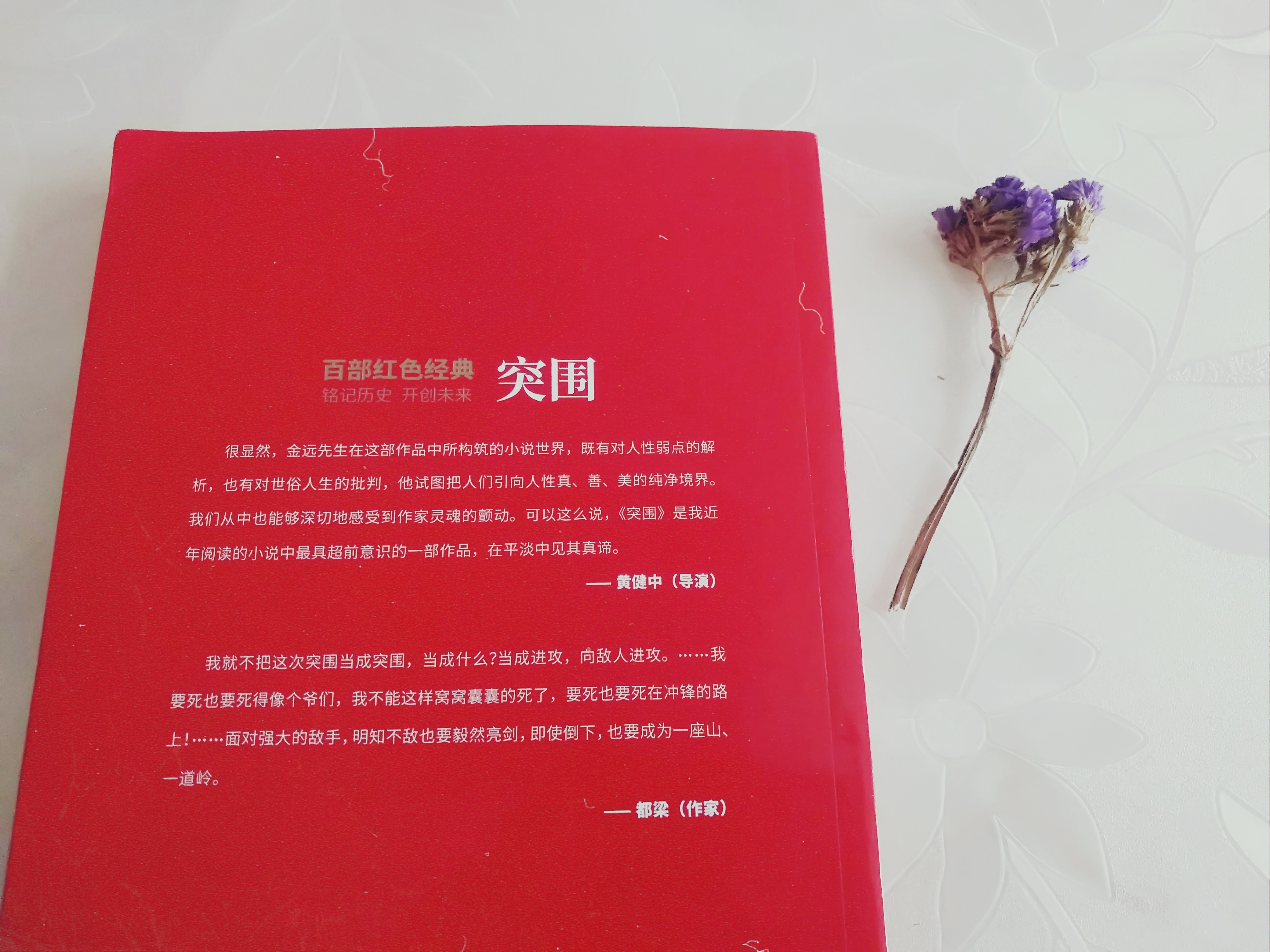 《突围》:洞房花烛夜,陈池龙被套上两道枷锁,他需用一生去突围