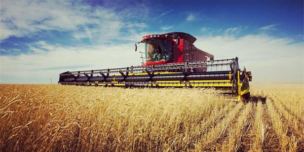 农学专业将来的就业方向,农学类就业很差么