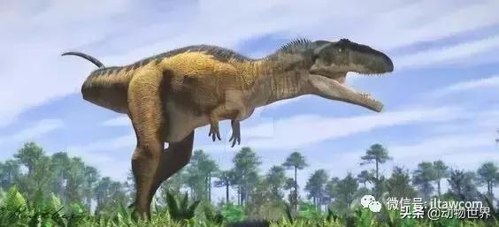 地球上的顶级掠食者,人类是地球上最顶级的掠食者