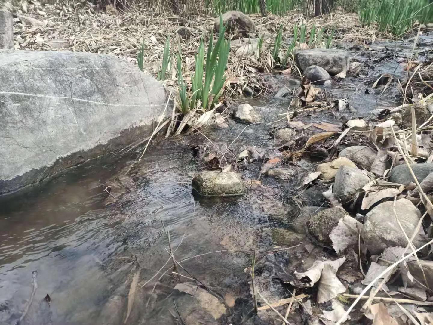 别人家的学校全集,别人家的学校风景