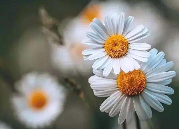 一个人睿智是什么意思,净化心灵的句子发朋友圈