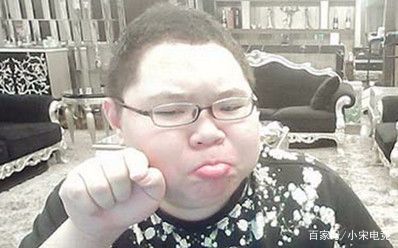 pdd回归斗鱼直播当天多少人观看,pdd直播人数最高多少