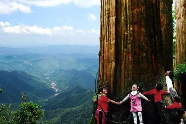 收藏,临安诗词大会来啦