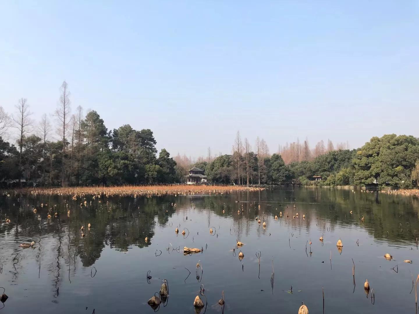 一枕寂寞，不道离别