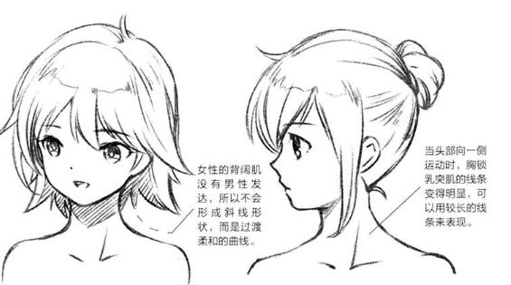 零基础漫画侧脸教程,初学漫画头入门零基础