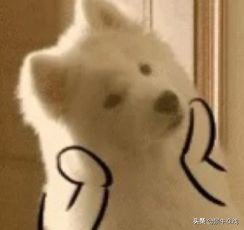 马来西亚留学签证,马来西亚留学签证80-100需要多久