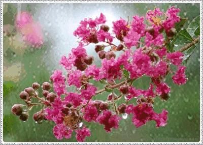 今夜有雨敲窗完整版,今夜有雨敲窗将我从睡梦中惊醒