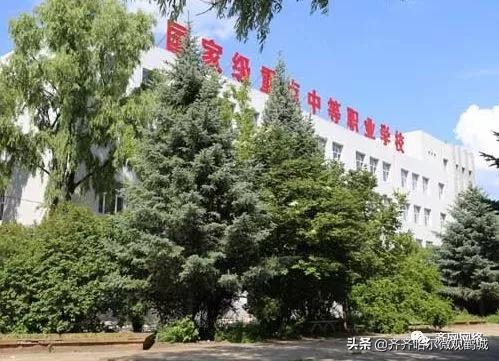 齐齐哈尔大学附属中学电话,齐齐哈尔大学附属中学简介