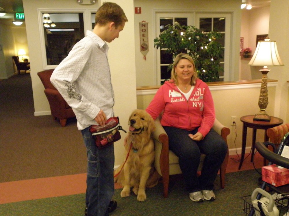 狗狗要去别人家怎么办,狗狗来新家做什么准备