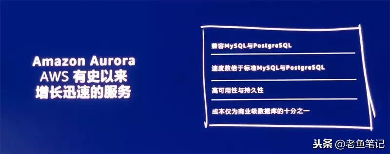 aws云计算盈利模式,awsaurora存储引擎