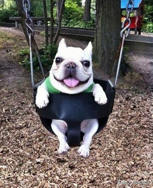 教师入职体检体检什么,教师资格证体检可以在异地体检吗