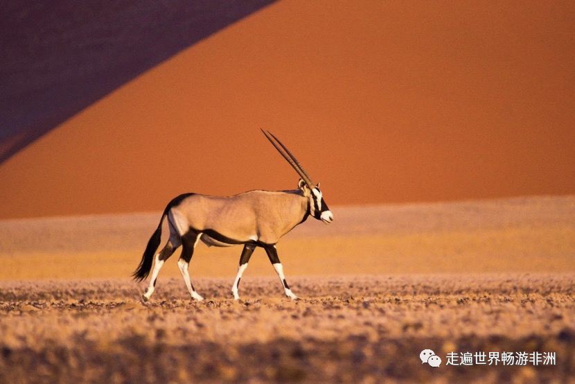 走进非洲No.338岁离开9岁女儿先生驻外中铁七局海外项目