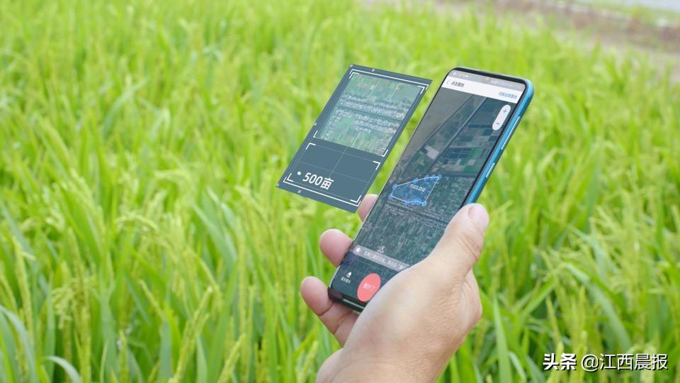 江西农村金融插上互联网翅膀：3年近100万涉农用户获网商银行数字*款贷**