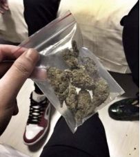 中国留学生在美国勤工俭学,在美留学省钱