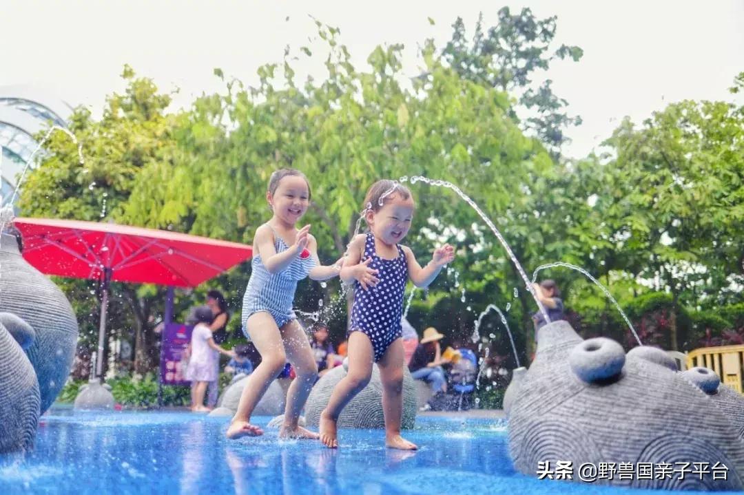 带孩子新加坡4天够玩吗,新加坡带孩子自由行几天