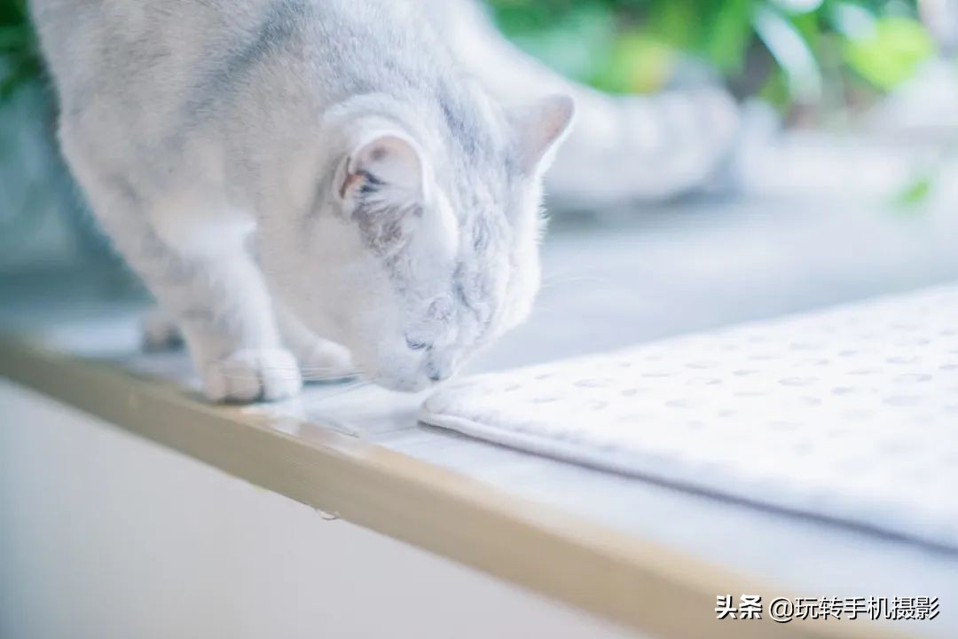 手机修图技巧大全免费,华为手机修图技巧