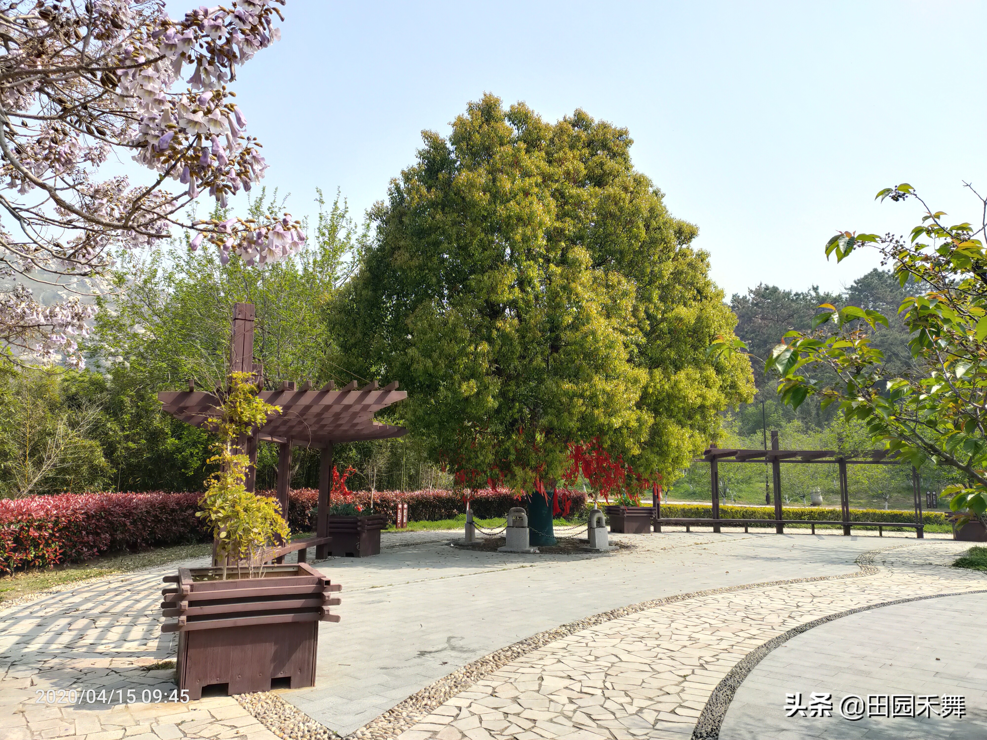 连云港海州区桃花涧风景区直播,连云港市桃花涧风景区