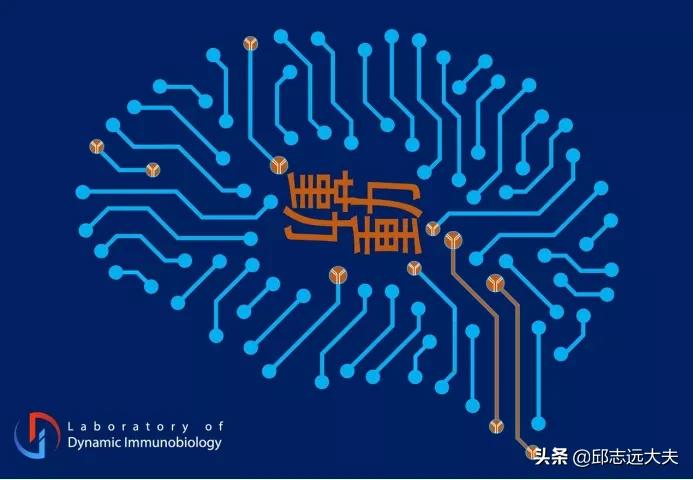 中国免疫学科学家,免疫学领域学者排名
