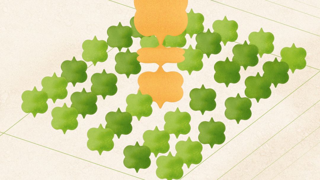 结婚请柬设计模板维语版,结婚请柬设计手绘图片大全