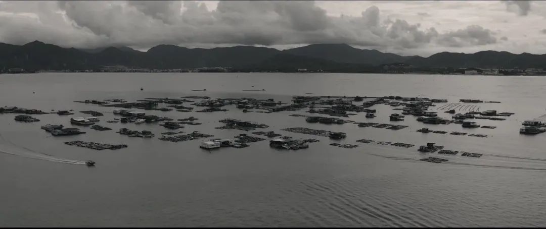 40年,时间已经给出答案