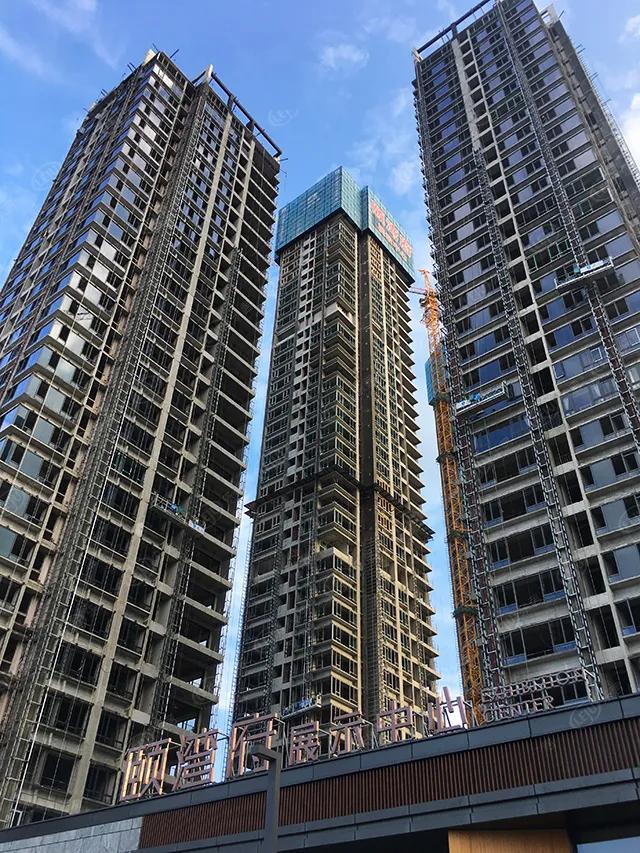 猛虎pk,猛虎和雄狮的pk