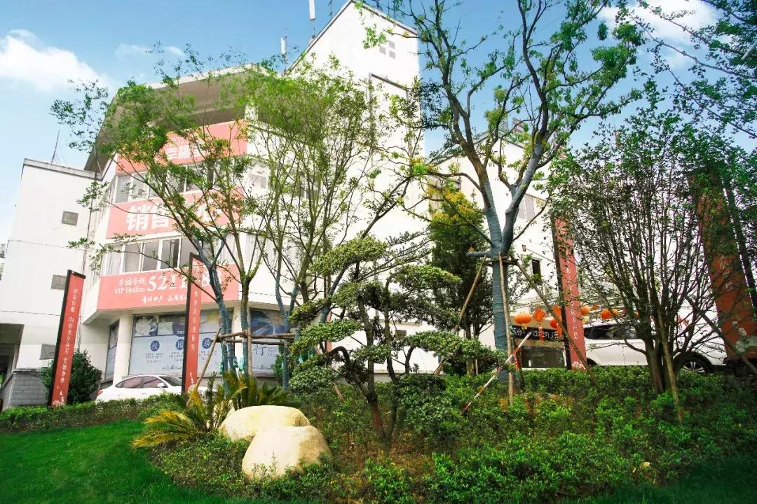 一石百景寸石丈情