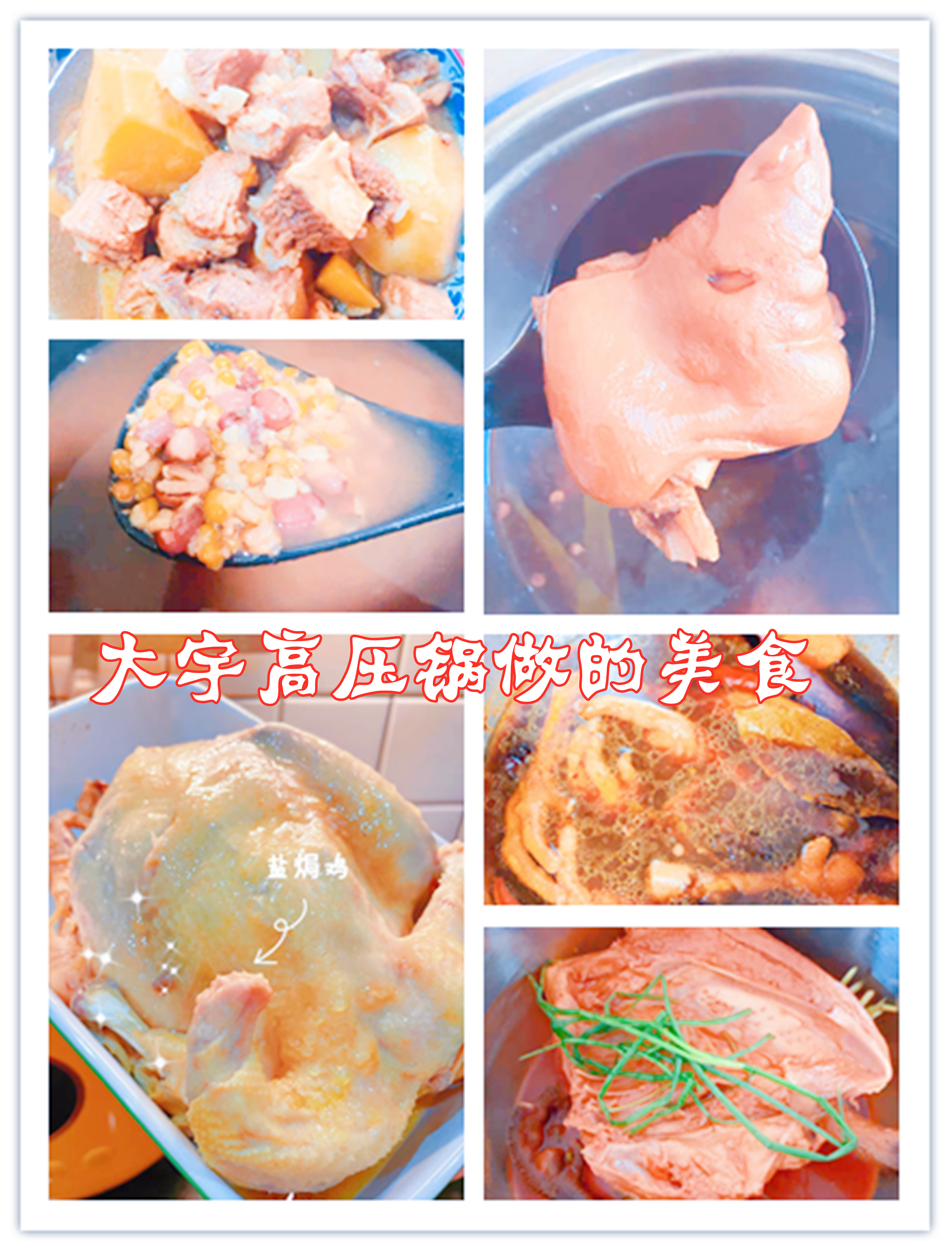 网红电压力锅,双胆电压力锅排行榜第一名小熊