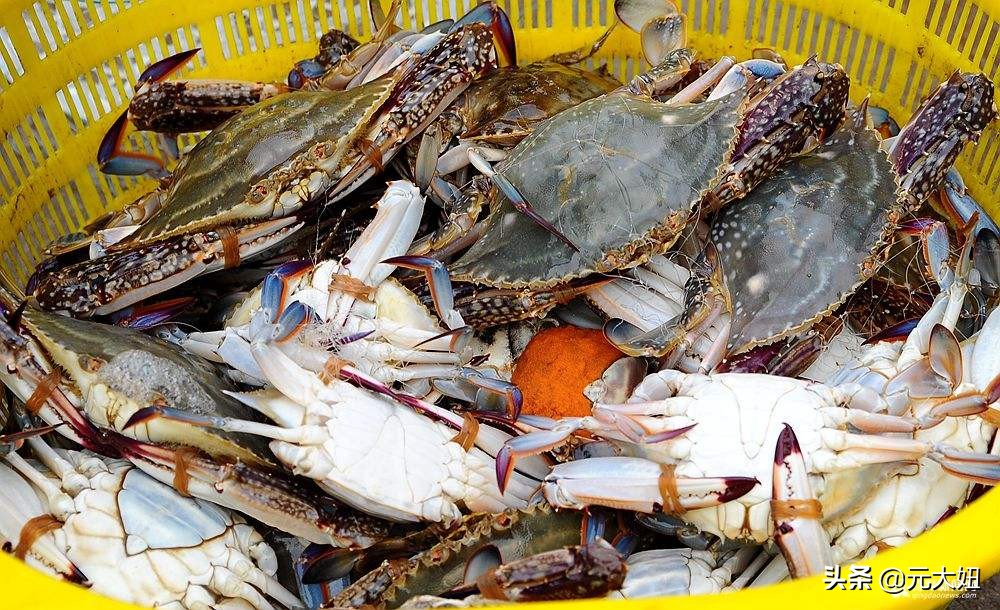 不要错过海鲜季节表,一年四季海鲜时间表